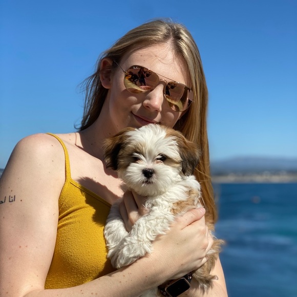 amywebb13